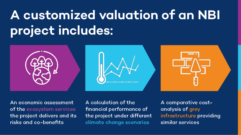 Description of what a customized valuation of an NBI project includes